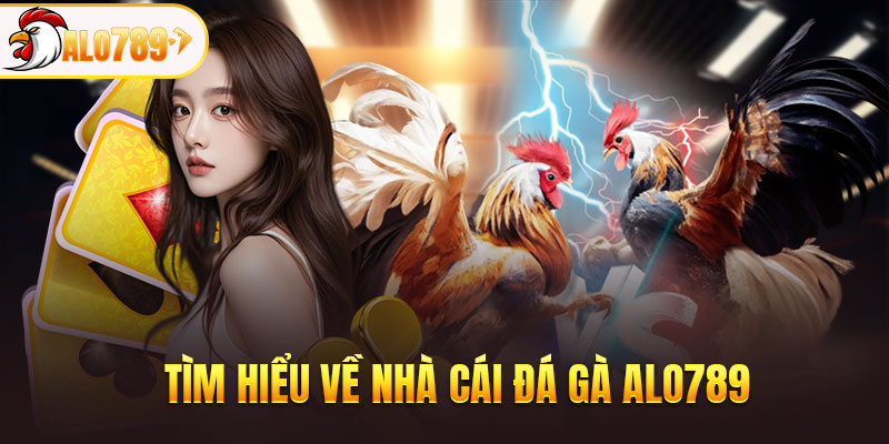 Tìm hiểu về nhà cái đá gà ALO789