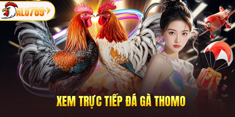 Đá gà ALO789 nơi quy tụ các đấu trường danh tiếng