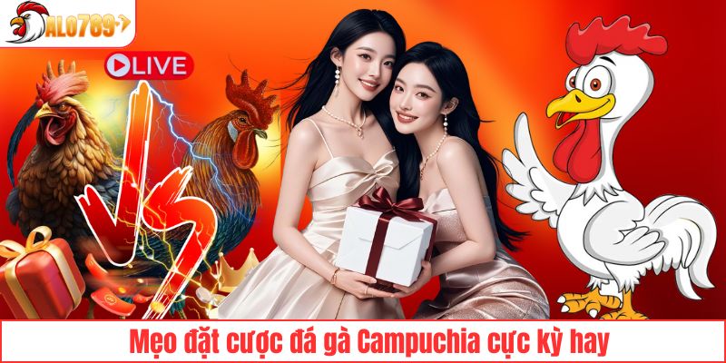 Bỏ túi bí kíp chơi đá gà siêu hay tại ALO789