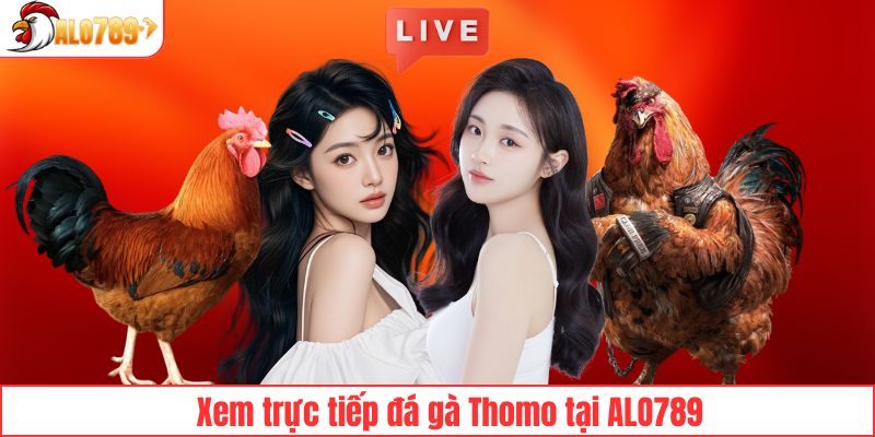 Các trận đá gà Thomo đỉnh cao tại ALO789