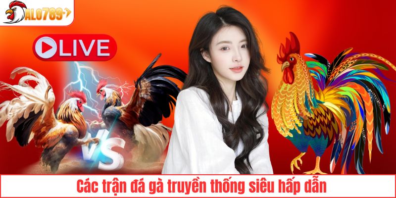 Các trận đá gà truyền thống siêu hấp dẫn