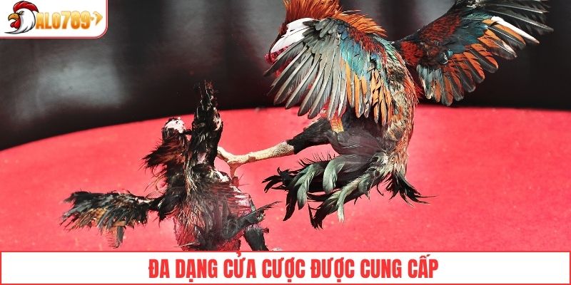 Đa dạng cửa cược được cung cấp để dự đoán