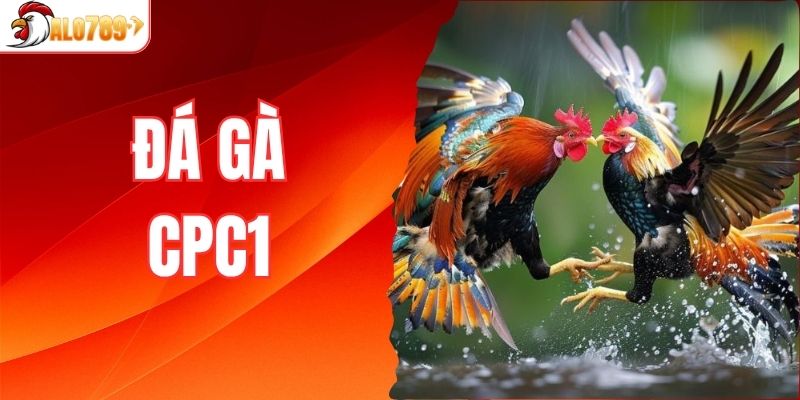 Đá gà CPC1