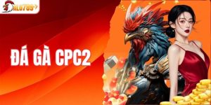đá gà CPC2