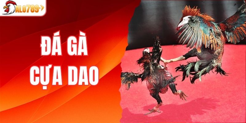 đá gà cựa dao