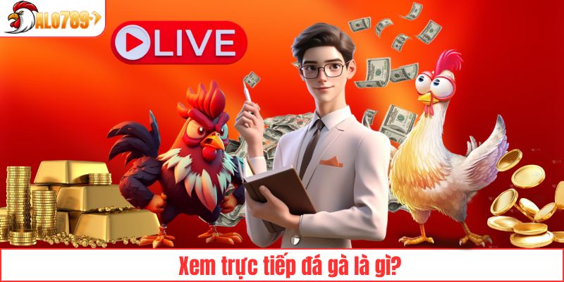 Giới thiệu về xem trực tiếp đá gà tại ALO789