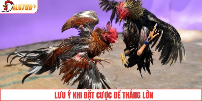 Lưu ý cho thành viên khi đặt cược để chiến thắng