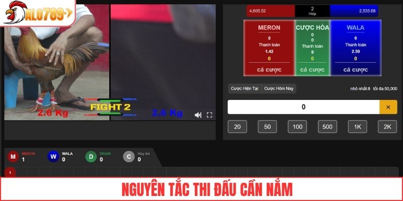 Nguyên tắc thi đấu cơ bản cần nắm khi tham gia