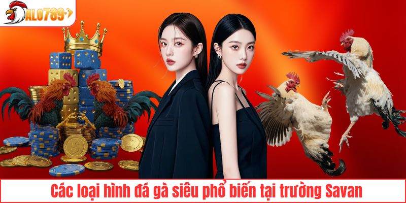 Những trận đấu hot tại trường gà