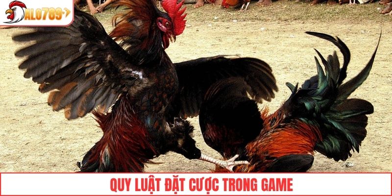 Quy luật đặt cược người chơi cần tuân thủ