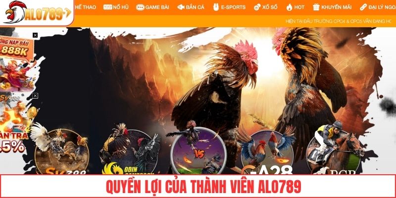 Quyền lợi của thành viên khi đăng ký tài khoản