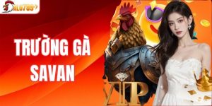 trường gà Savan