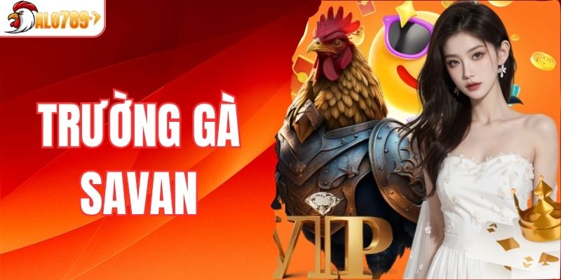 trường gà Savan