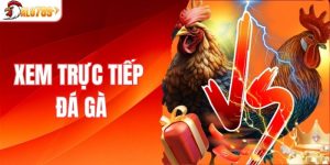 xem trực tiếp đá gà