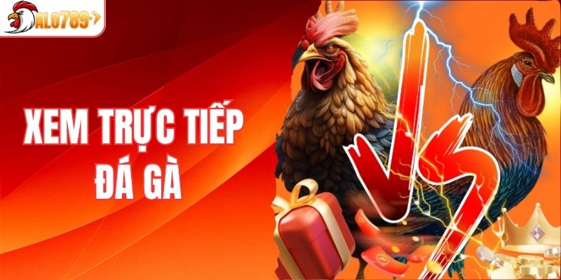 xem trực tiếp đá gà